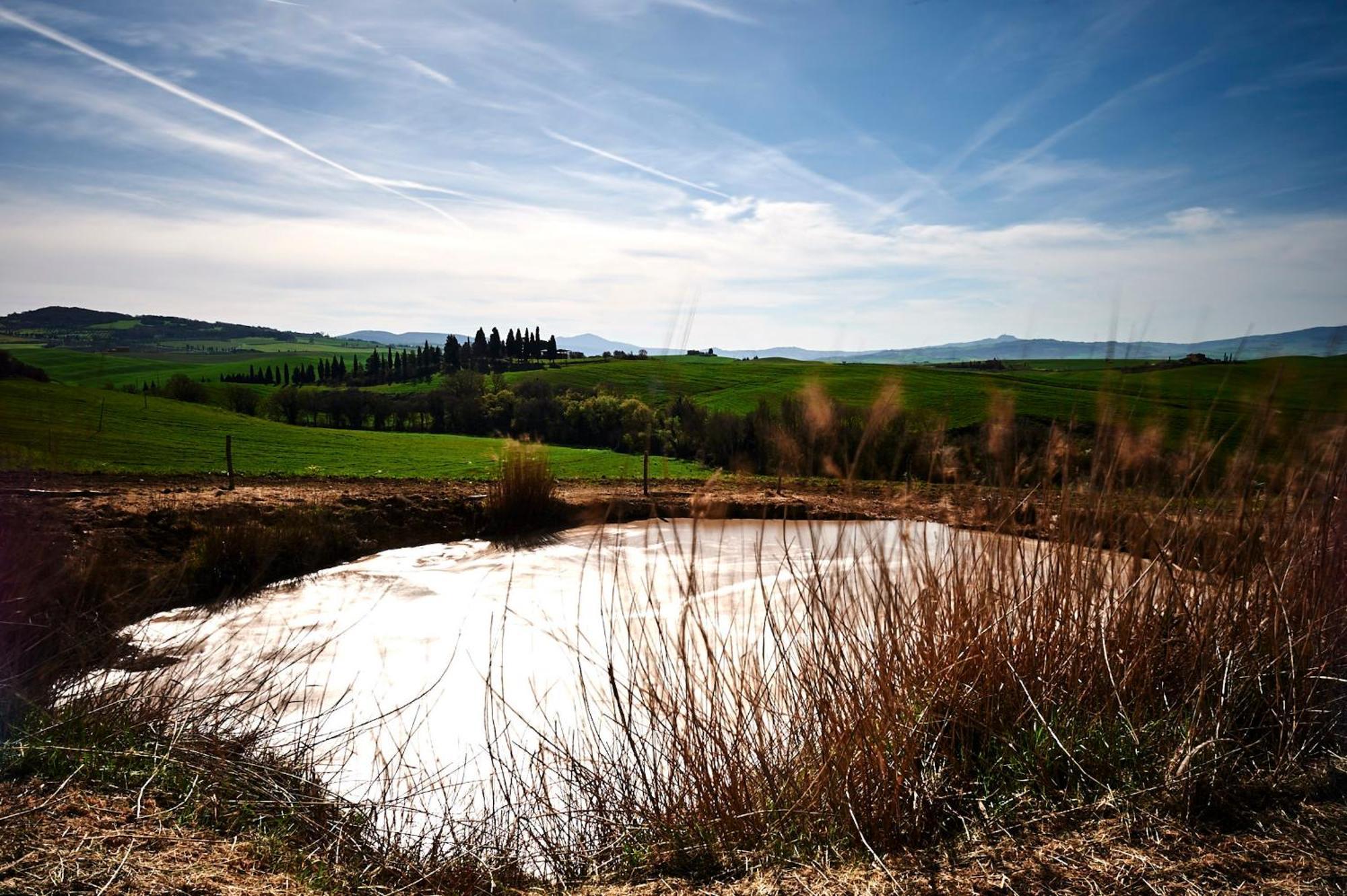 Agriturismo Il Casalino Pienza Luaran gambar