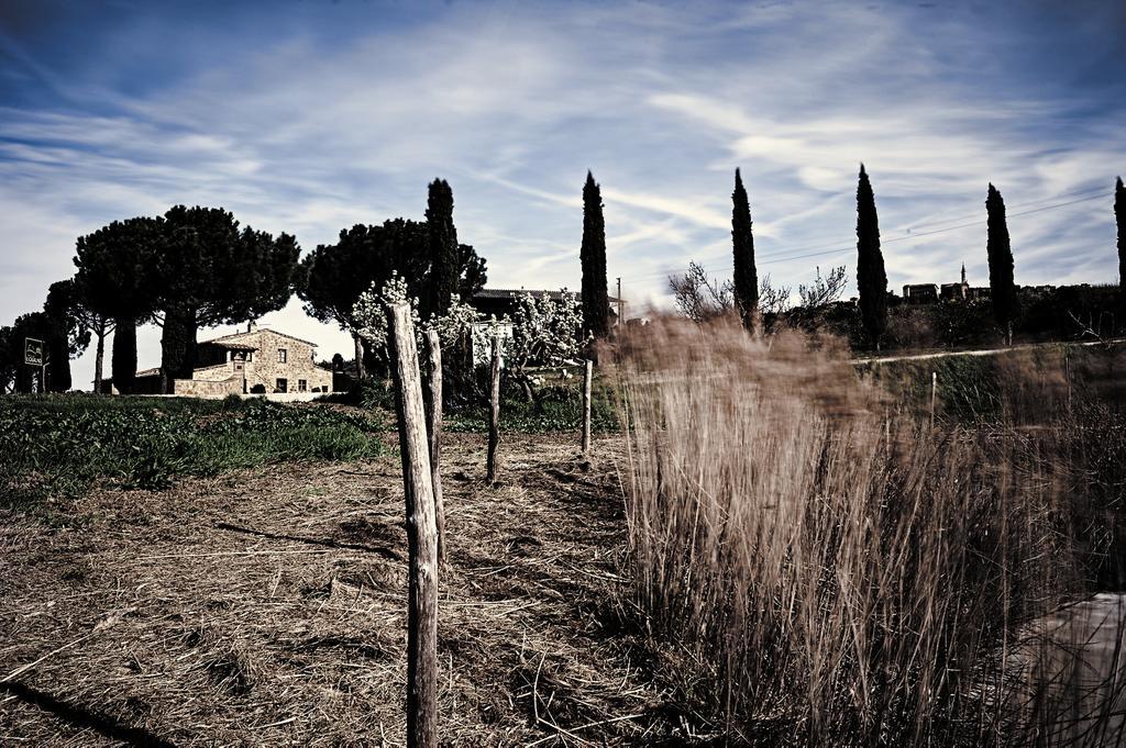 Agriturismo Il Casalino Pienza Luaran gambar