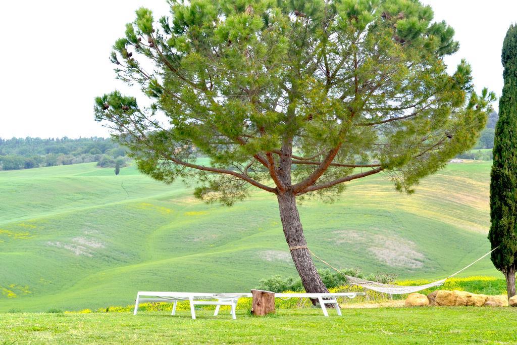 Agriturismo Il Casalino Pienza Luaran gambar